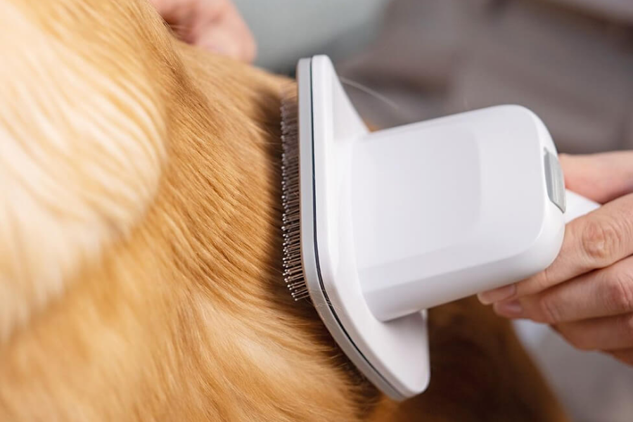Pet Shedding Tool with Large Container